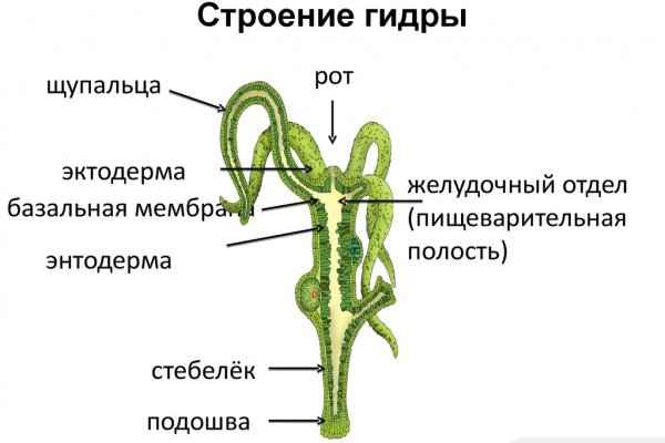 Кракен нарко